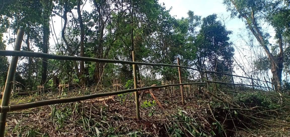 D:\VILLAGE REPORT PICTURES\UMLING BLOCK\18th Mile\WhatsApp Image 2023-02-03 at 15.36.51.jpeg